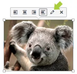 Edit image (WordPress)